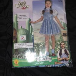 Dorothy costume