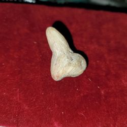 Old Tooth