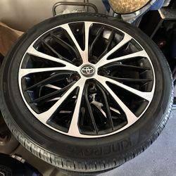 Camry Stocks 