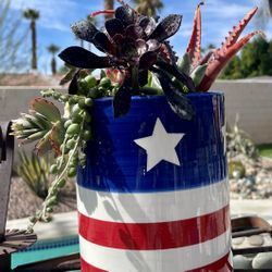 Stars & Stripes 🇺🇸 Live Succulent Planter!