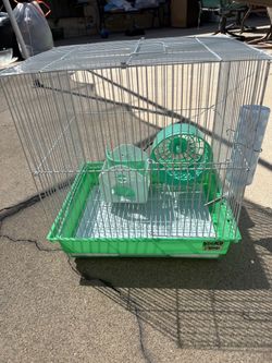 Para hamster