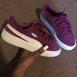 Purple Puma 