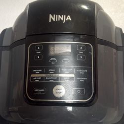 Ninja Air Fryer 