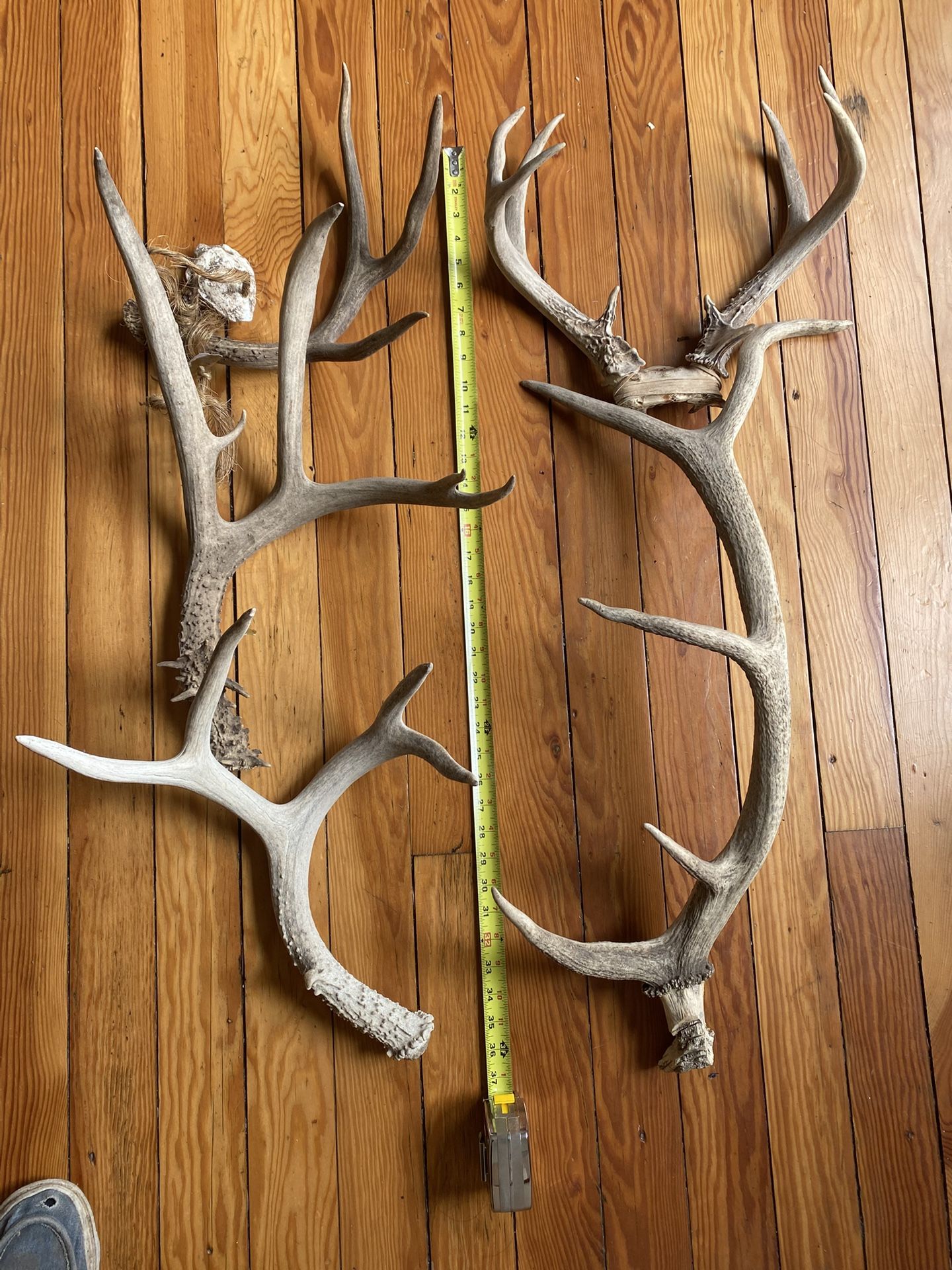 Antlers