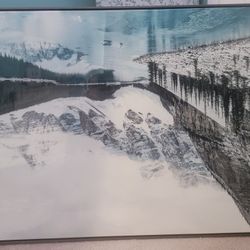 beautiful large 41 × 31 inch wall art. (MUST SELL TODAY)