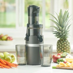 Vida Sana cold press pro juicer