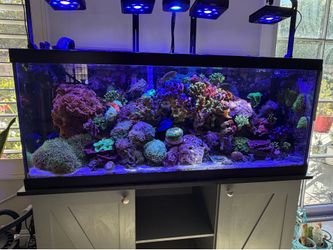 Fish tank For sale