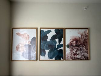 3-piece framed botanical wall art set