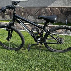 Mongoose Mountain Bike