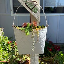 Wall Metal Basket Of Succulents 