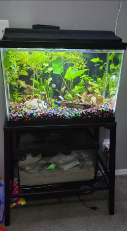 20 gallon aquarium/tank with stand