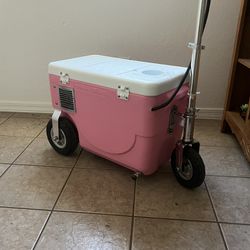 Cruiser Cooler Electric Scooter 
