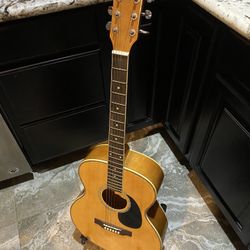 Sequoia AGW4015NA Acoustic Guitar