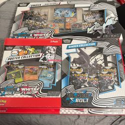 Black bolt & White Flare Heavy Hitter Pokémon 