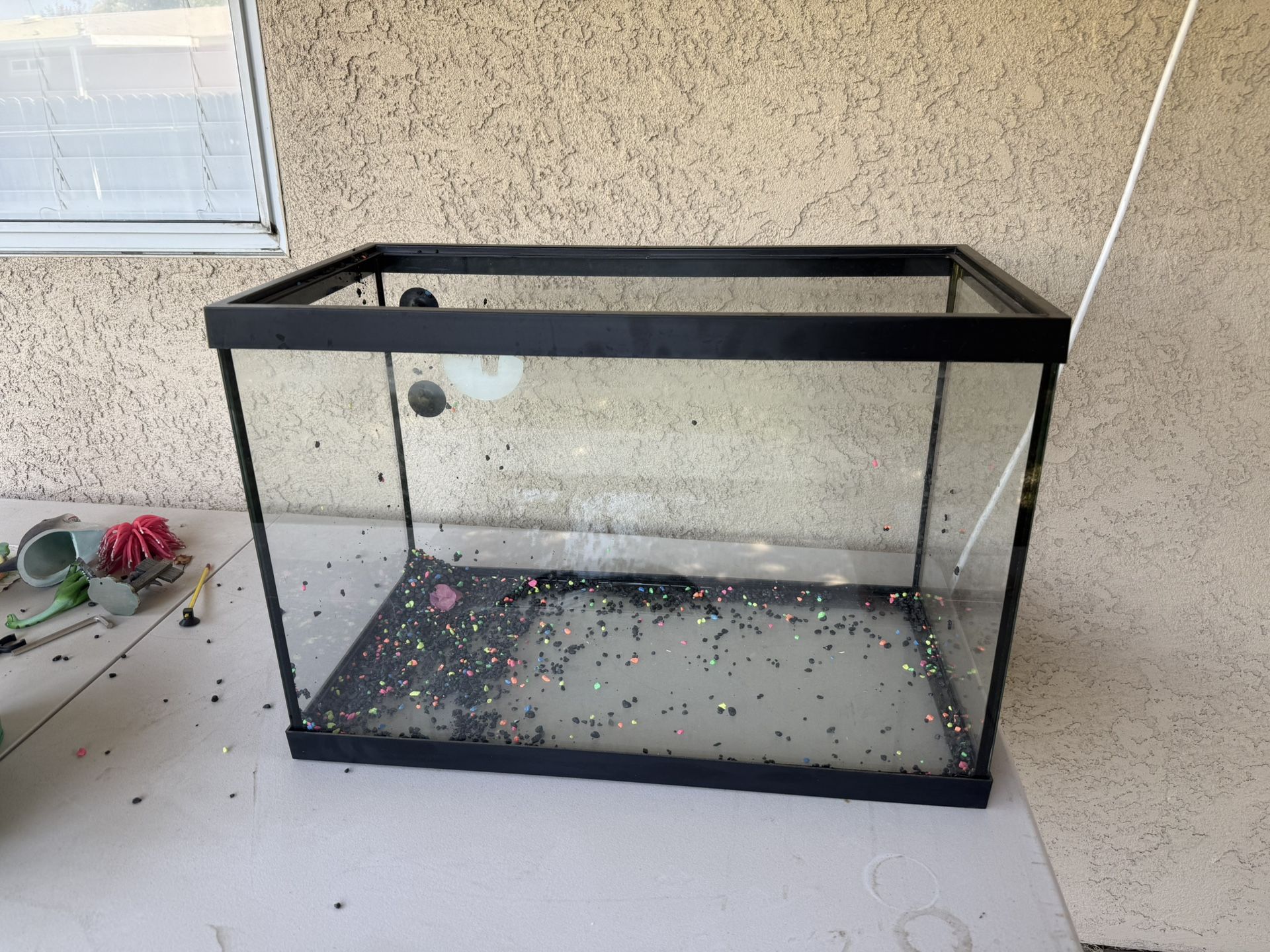 20 Gallon Fish Tank With Everything Needed