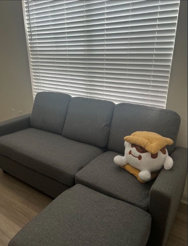 Grey Couch..first Come First Serve