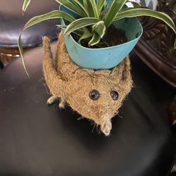 Bird Planter With Free Spider Plant!