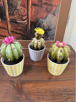 New Faux (fake) Cactus with a silk bloom in porcelain vase