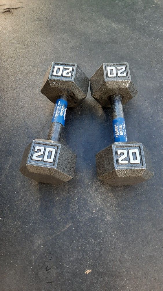 Dumbbells 20s Brand New