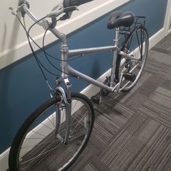 19" Giant Cypress DX Hybrid (Silver)