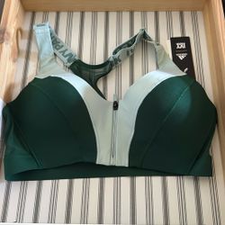 Beyoncé Ivy Park Sports Bra