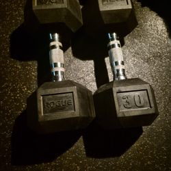 Rogue 30lbs Dumbells Weights 