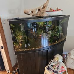75 Gallon Sump Style Fish Tank 