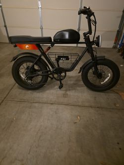 Full size ebike custom made for "koi"