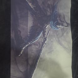 Artorias Cloth Poster