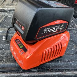 Echo Battery And Charger Eforce 56v 