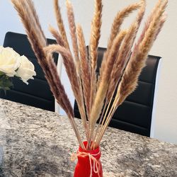 Mini pampass dried flowers