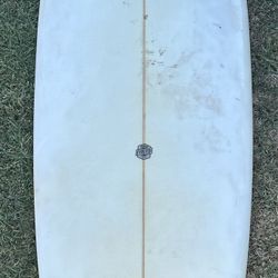 Evolved Short Board 
