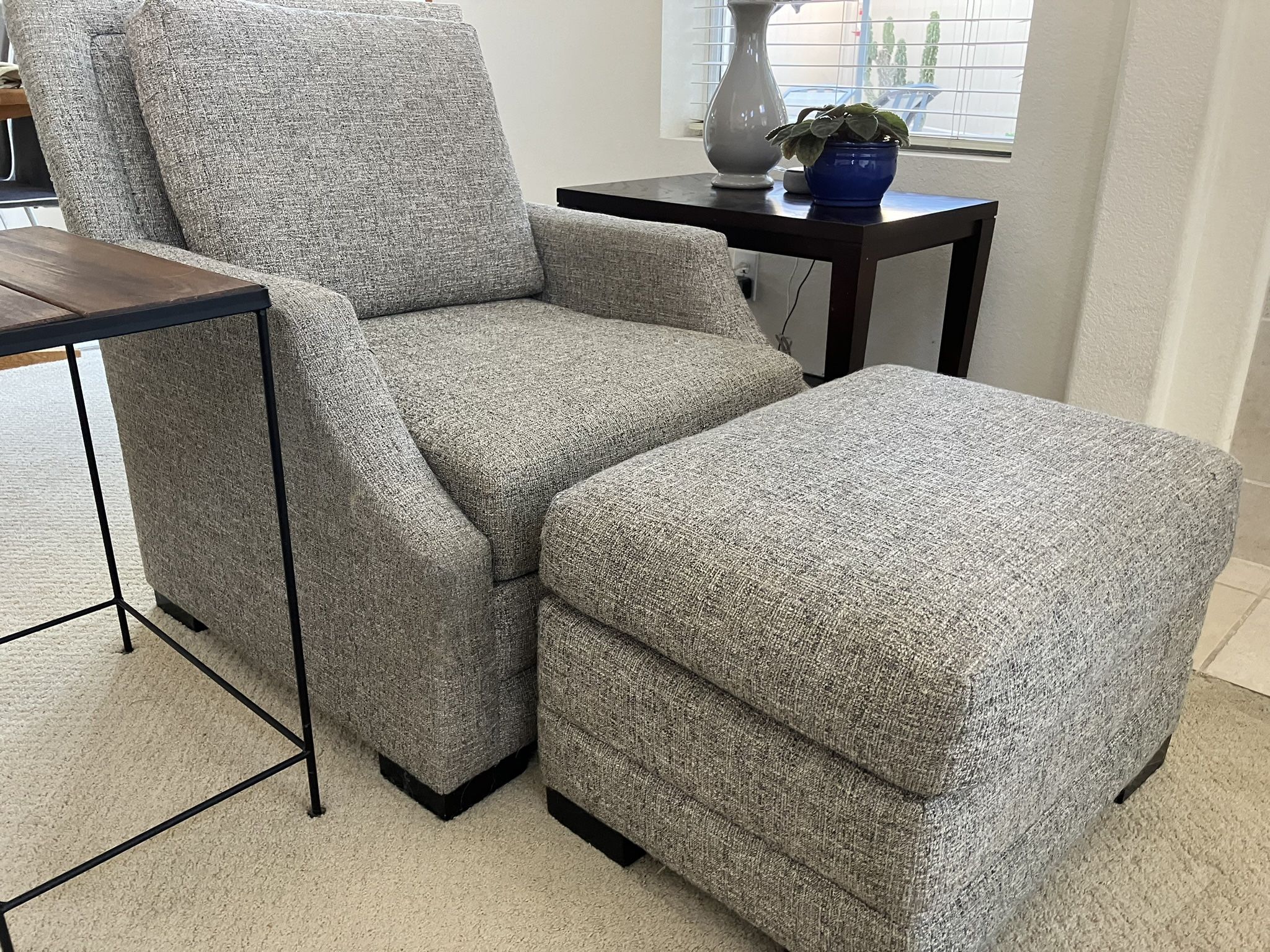 Living Spaces Chair & Matching Ottoman