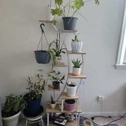 Plant Stand Wt Built In Grow Lights, Timer,dimmer.