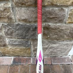 Softball Bats, Face Mask And Bag