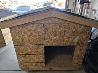 Large Dog Houses