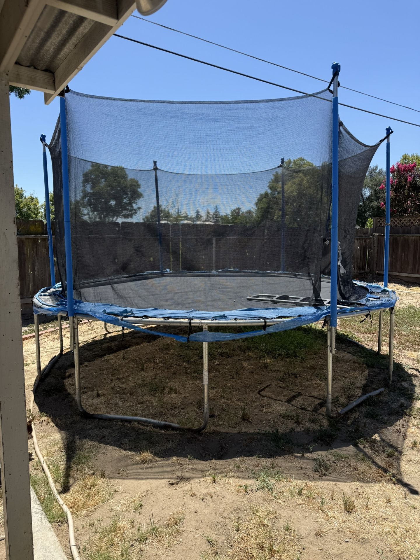 Huge Trampoline