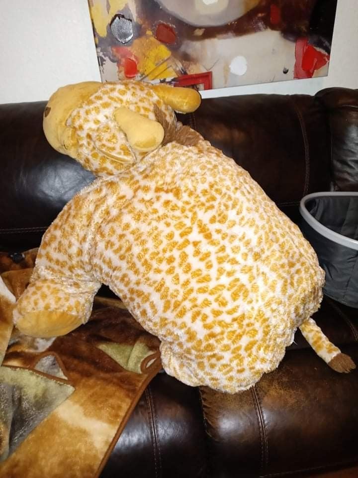 Giant Pillow pet