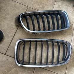 BMW Grille