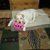 Debra