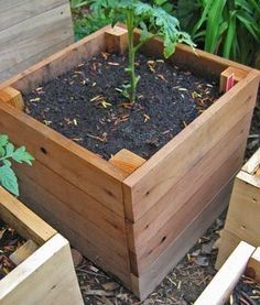 Herb planter box
