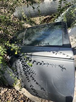 Rear Back Door