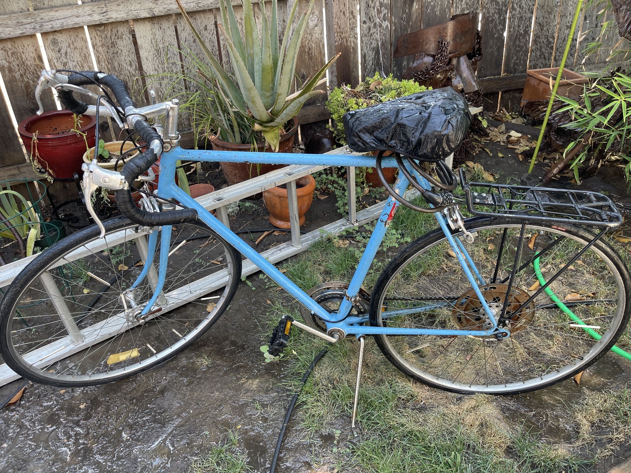 Vintage Schwinn Bike 27”