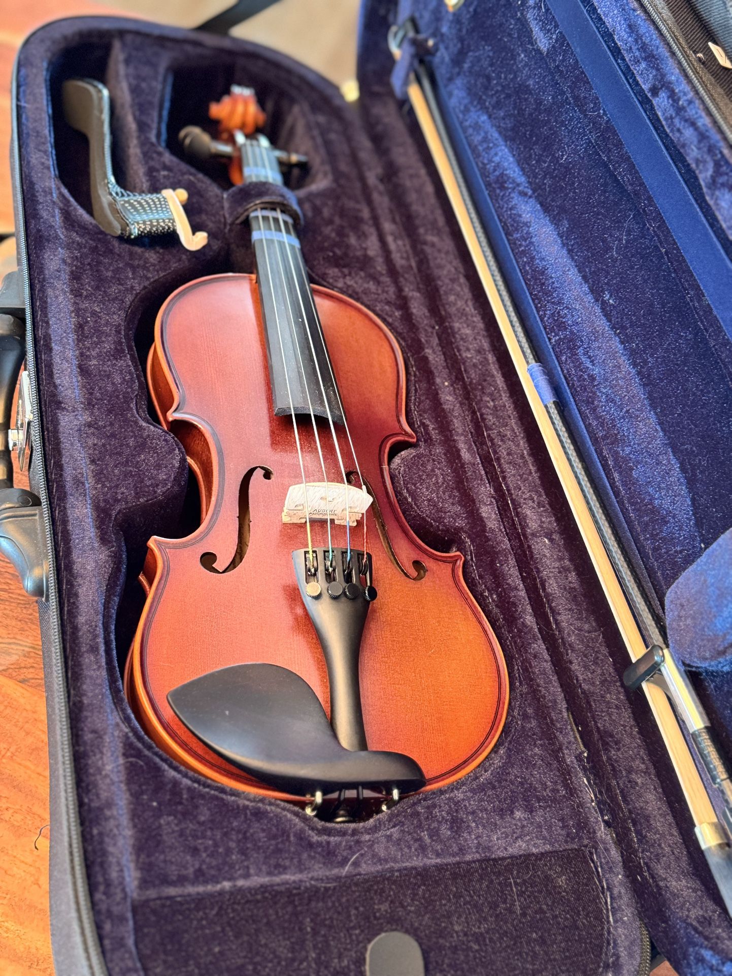 Violin 1/2 Size Antonio Giuliani Etude