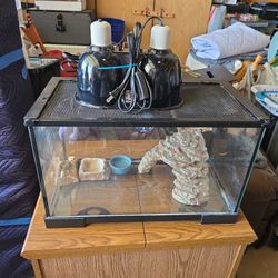 Reptile Tank