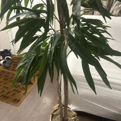 Tall Artificial Indoor Plant in Woven Basket – Great Home Decor!