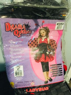 LadyBug 🐞 costume