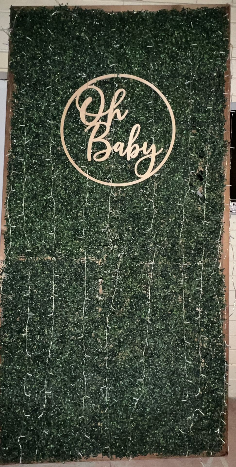 Photo Backdrop