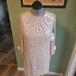 Silver SEQUIN Julia Jordan DRESS