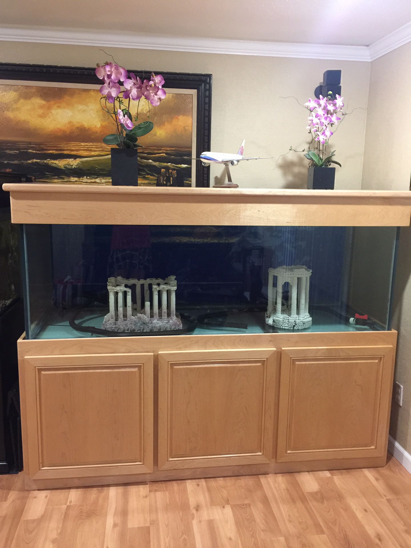 Fish tank 180 gallons come with filter, rooks, light and decorations , Fish tank wide size 7 , deep 2 fit , T 2 fit